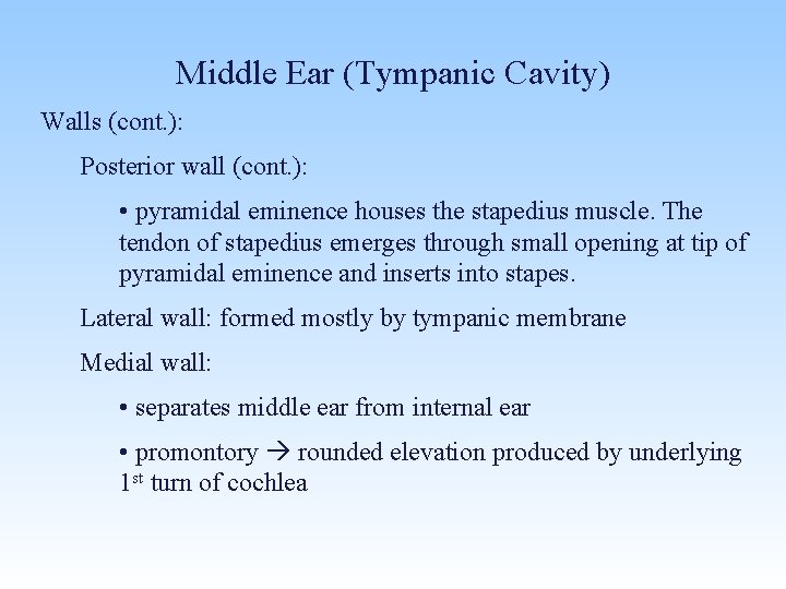 Middle Ear (Tympanic Cavity) Walls (cont. ): Posterior wall (cont. ): • pyramidal eminence