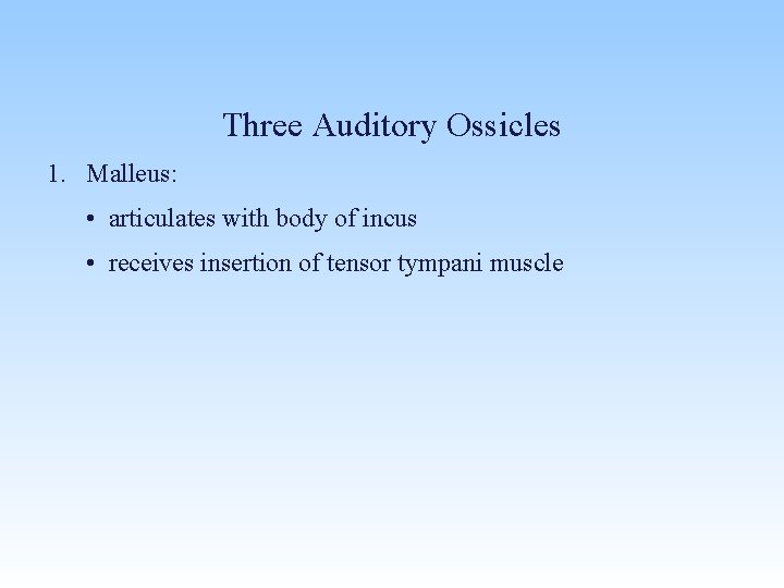 Three Auditory Ossicles 1. Malleus: • articulates with body of incus • receives insertion