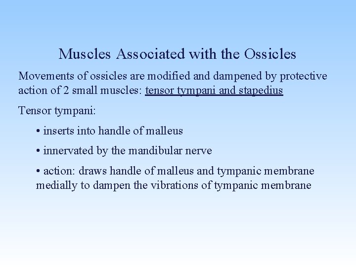 Muscles Associated with the Ossicles Movements of ossicles are modified and dampened by protective
