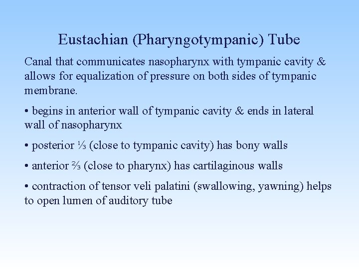 Eustachian (Pharyngotympanic) Tube Canal that communicates nasopharynx with tympanic cavity & allows for equalization