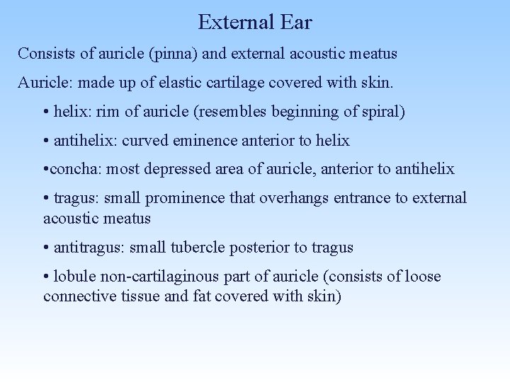 External Ear Consists of auricle (pinna) and external acoustic meatus Auricle: made up of
