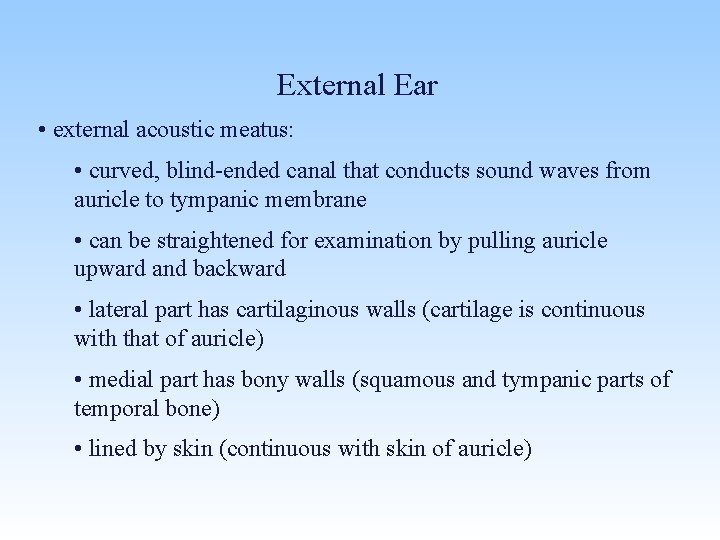 External Ear • external acoustic meatus: • curved, blind-ended canal that conducts sound waves