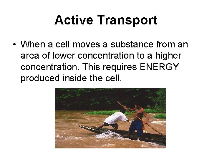 Active Transport • When a cell moves a substance from an area of lower