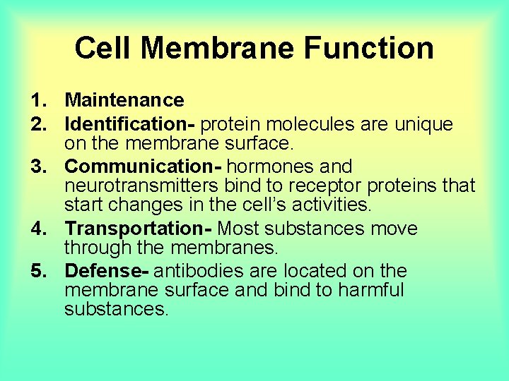 Cell Membrane Function 1. Maintenance 2. Identification- protein molecules are unique on the membrane