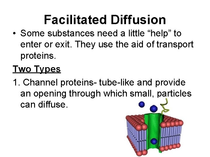 Facilitated Diffusion • Some substances need a little “help” to enter or exit. They