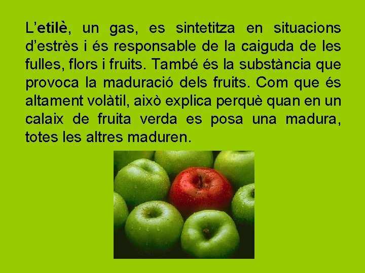 L’etilè, un gas, es sintetitza en situacions d’estrès i és responsable de la caiguda