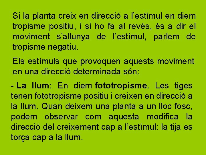 Si la planta creix en direcció a l’estímul en diem tropisme positiu, i si