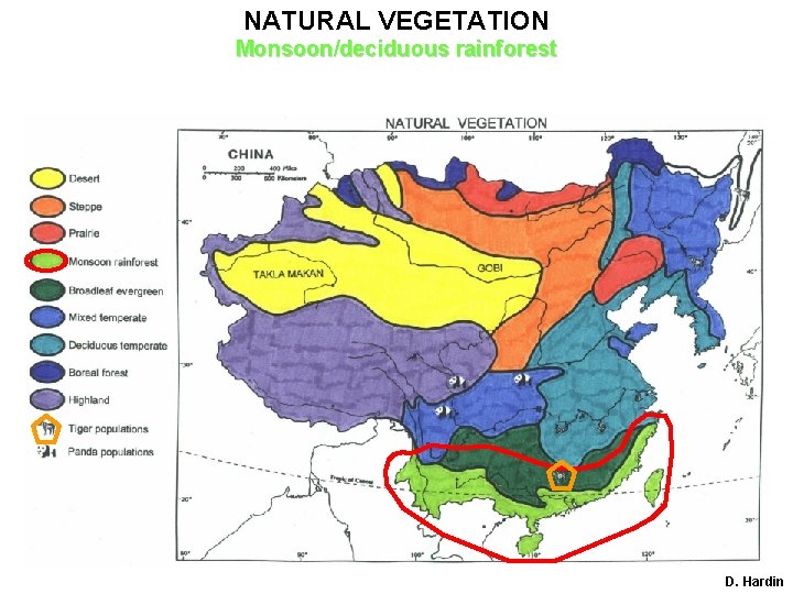 NATURAL VEGETATION Monsoon/deciduous rainforest D. Hardin 