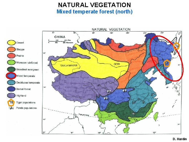 NATURAL VEGETATION Mixed temperate forest (north) D. Hardin 