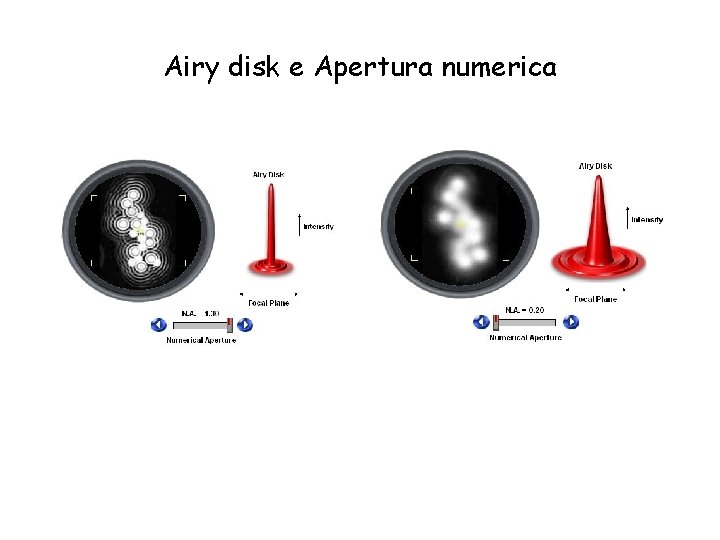 Airy disk e Apertura numerica 