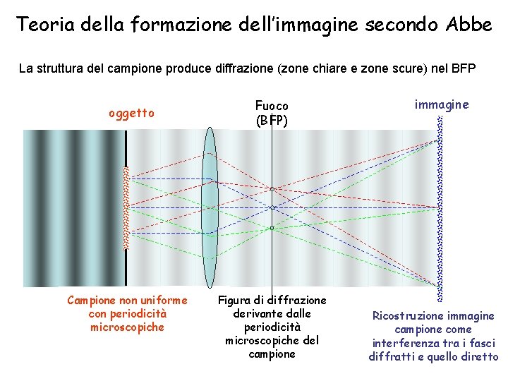 Teoria della formazione dell’immagine secondo Abbe La struttura del campione produce diffrazione (zone chiare