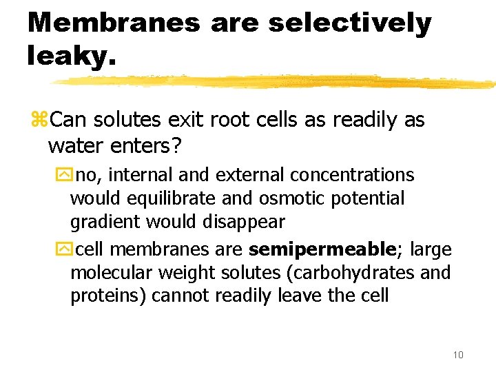 Membranes are selectively leaky. z. Can solutes exit root cells as readily as water