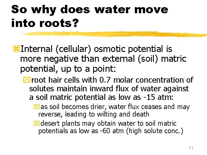 So why does water move into roots? z. Internal (cellular) osmotic potential is more