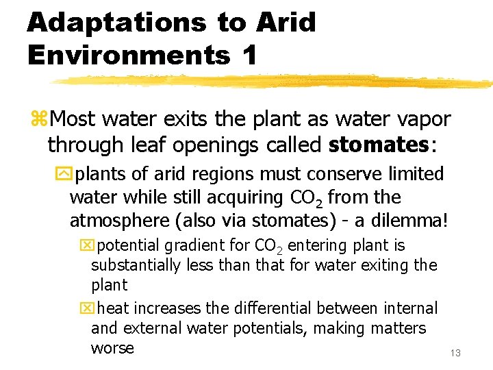 Adaptations to Arid Environments 1 z. Most water exits the plant as water vapor