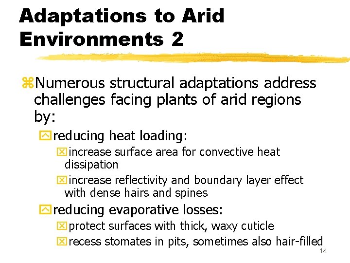 Adaptations to Arid Environments 2 z. Numerous structural adaptations address challenges facing plants of