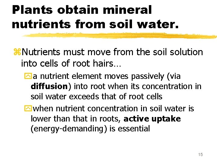Plants obtain mineral nutrients from soil water. z. Nutrients must move from the soil