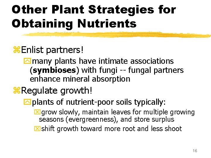 Other Plant Strategies for Obtaining Nutrients z. Enlist partners! ymany plants have intimate associations