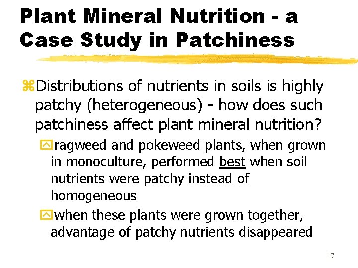 Plant Mineral Nutrition - a Case Study in Patchiness z. Distributions of nutrients in
