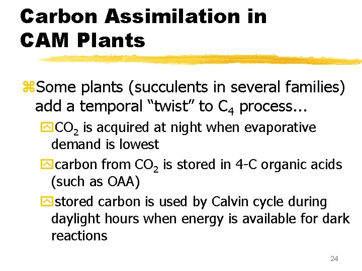 Carbon Assimilation in CAM Plants z. Some plants (succulents in several families) add a