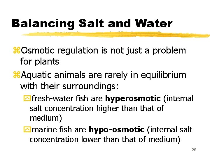 Balancing Salt and Water z. Osmotic regulation is not just a problem for plants