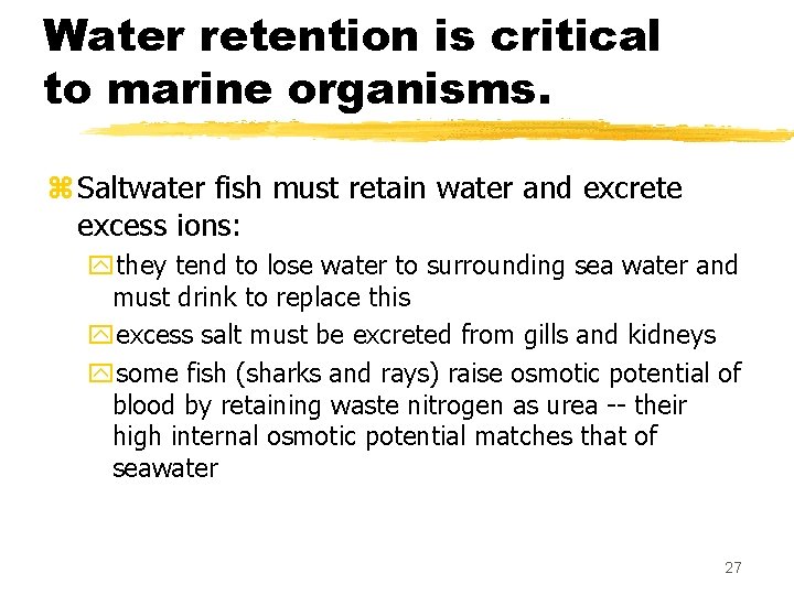 Water retention is critical to marine organisms. z Saltwater fish must retain water and