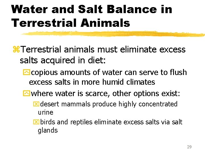 Water and Salt Balance in Terrestrial Animals z. Terrestrial animals must eliminate excess salts