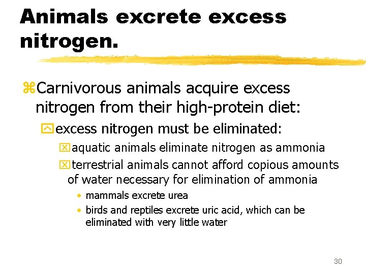 Animals excrete excess nitrogen. z. Carnivorous animals acquire excess nitrogen from their high-protein diet: