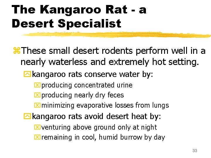 The Kangaroo Rat - a Desert Specialist z. These small desert rodents perform well