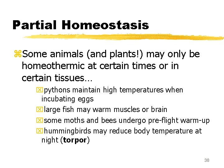 Partial Homeostasis z. Some animals (and plants!) may only be homeothermic at certain times