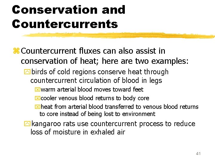 Conservation and Countercurrents z Countercurrent fluxes can also assist in conservation of heat; here