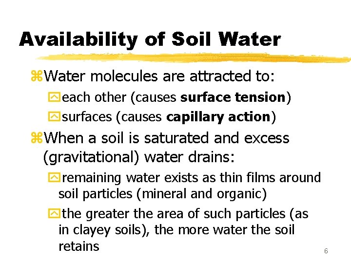 Availability of Soil Water z. Water molecules are attracted to: yeach other (causes surface