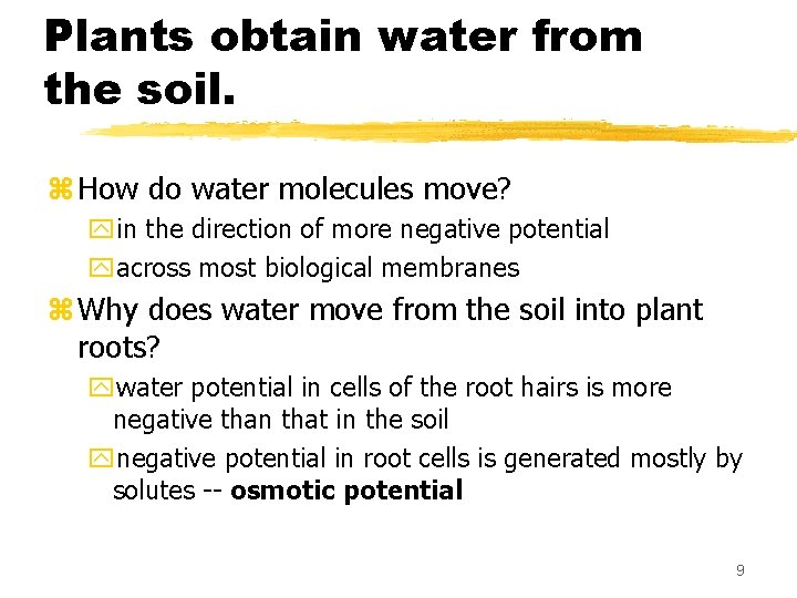 Plants obtain water from the soil. z How do water molecules move? yin the