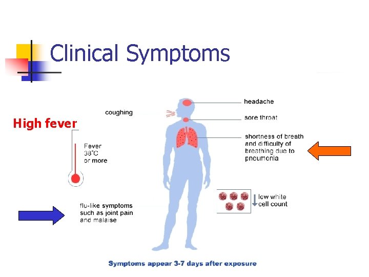 Clinical Symptoms High fever 