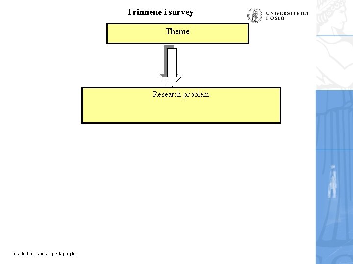 Trinnene i survey Theme Research problem Institutt for spesialpedagogikk 
