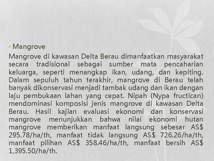  • Mangrove di kawasan Delta Berau dimanfaatkan masyarakat secara tradisional sebagai sumber mata