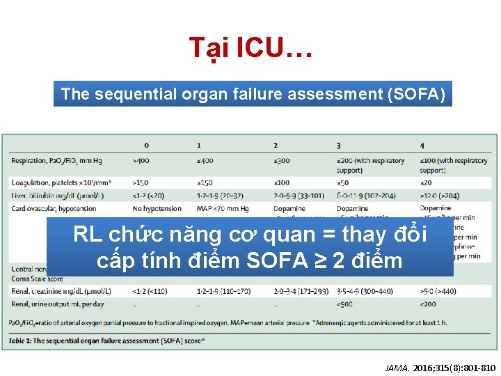Tại ICU… The sequential organ failure assessment (SOFA) RL chức năng cơ quan = Tại ICU… The sequential organ failure assessment (SOFA) RL chức năng cơ quan =