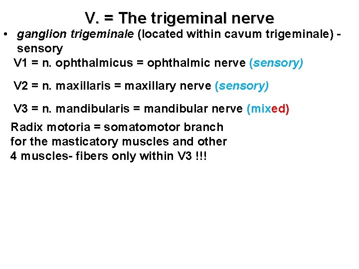 V. V. = The trigeminal nerve • ganglion trigeminale (located within cavum trigeminale) -
