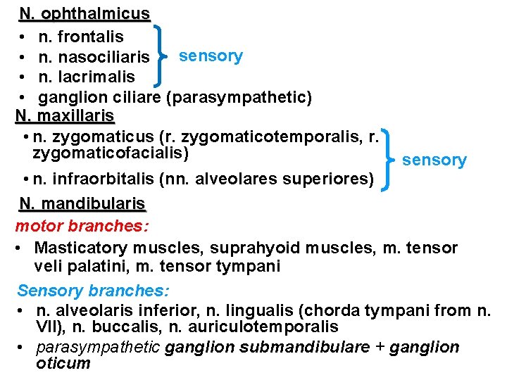 N. ophthalmicus • n. frontalis sensory • n. nasociliaris • n. lacrimalis • ganglion