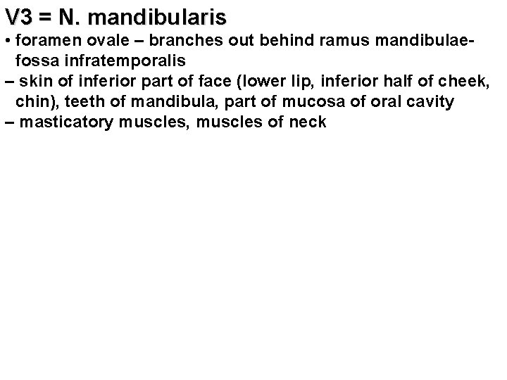 V 3 = N. mandibularis • foramen ovale – branches out behind ramus mandibulae-