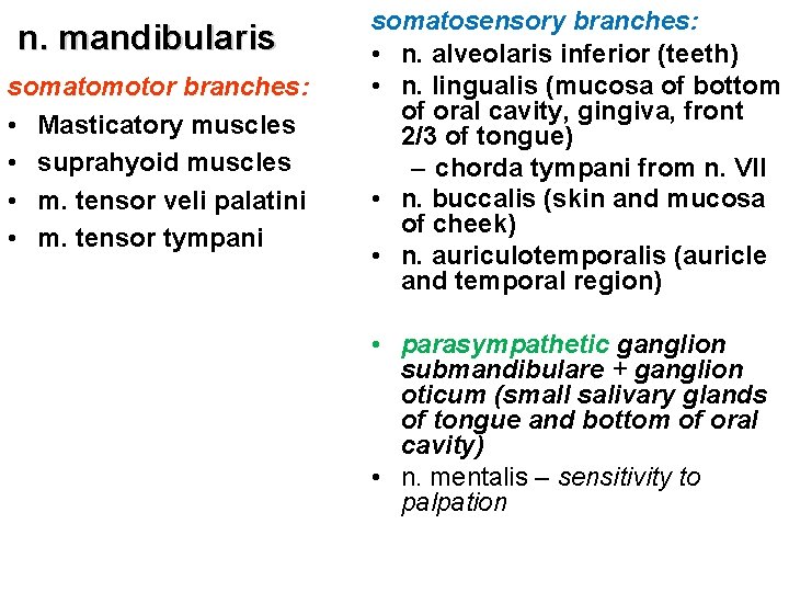  n. mandibularis somatomotor branches: • Masticatory muscles • suprahyoid muscles • m. tensor