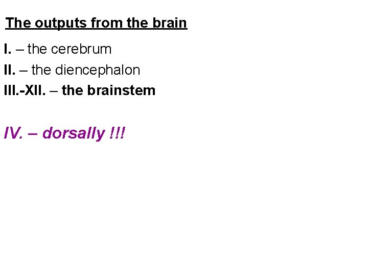 The outputs from the brain I. – the cerebrum II. – the diencephalon III.