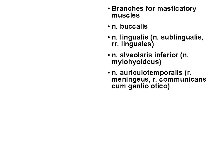  • Branches for masticatory muscles • n. buccalis • n. lingualis (n. sublingualis,