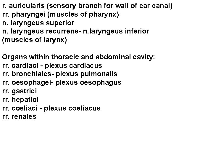 r. auricularis (sensory branch for wall of ear canal) rr. pharyngei (muscles of pharynx)