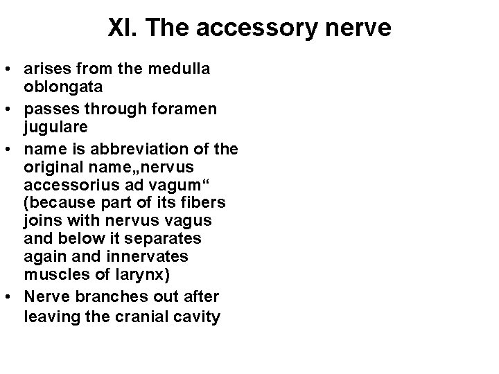 XI. The accessory nerve • arises from the medulla oblongata • passes through foramen