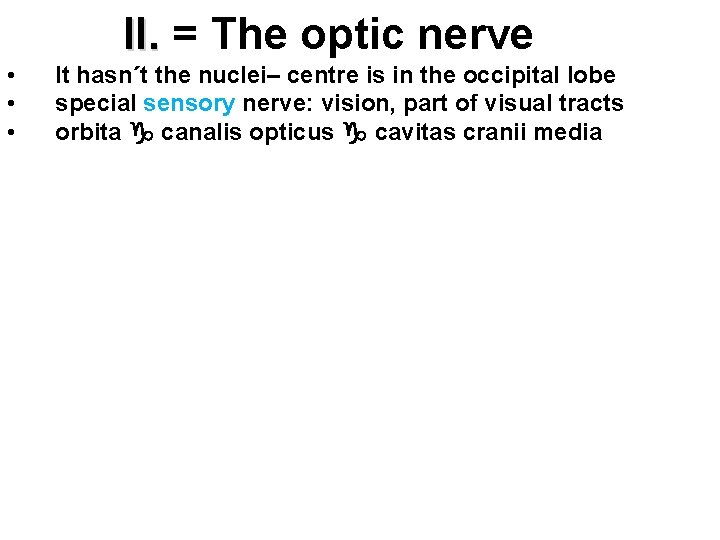  • • • II. = The optic nerve II. It hasn´t the nuclei–