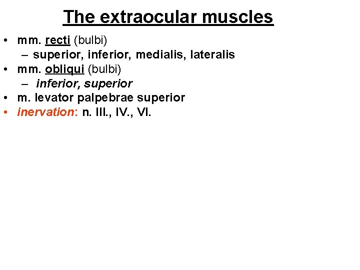 The extraocular muscles • mm. recti (bulbi) – superior, inferior, medialis, lateralis • mm.
