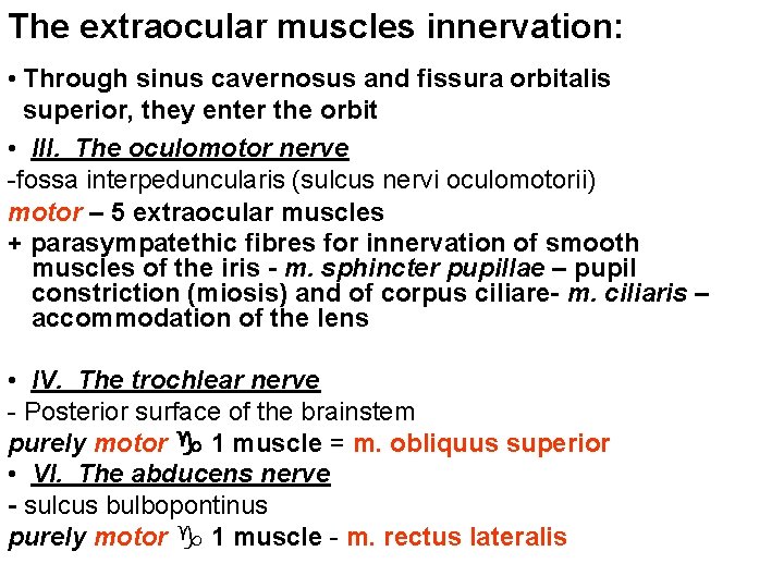 The extraocular muscles innervation: • Through sinus cavernosus and fissura orbitalis superior, they enter