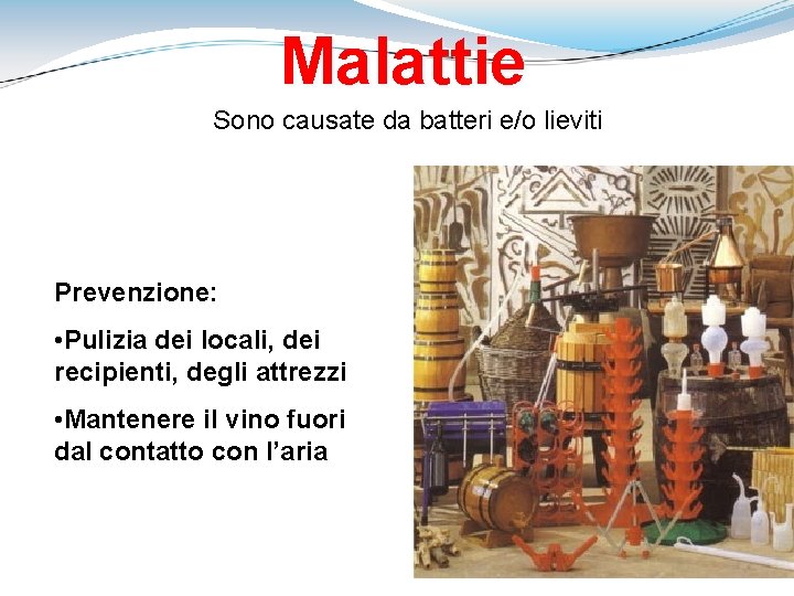 Malattie Sono causate da batteri e/o lieviti Prevenzione: • Pulizia dei locali, dei recipienti,