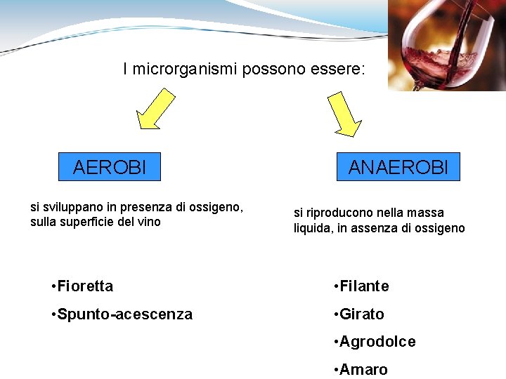 I microrganismi possono essere: AEROBI si sviluppano in presenza di ossigeno, sulla superficie del