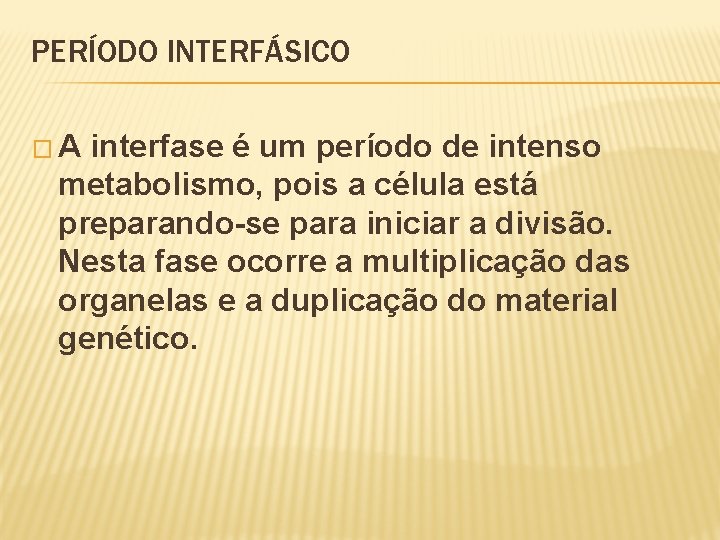 PERÍODO INTERFÁSICO �A interfase é um período de intenso metabolismo, pois a célula está